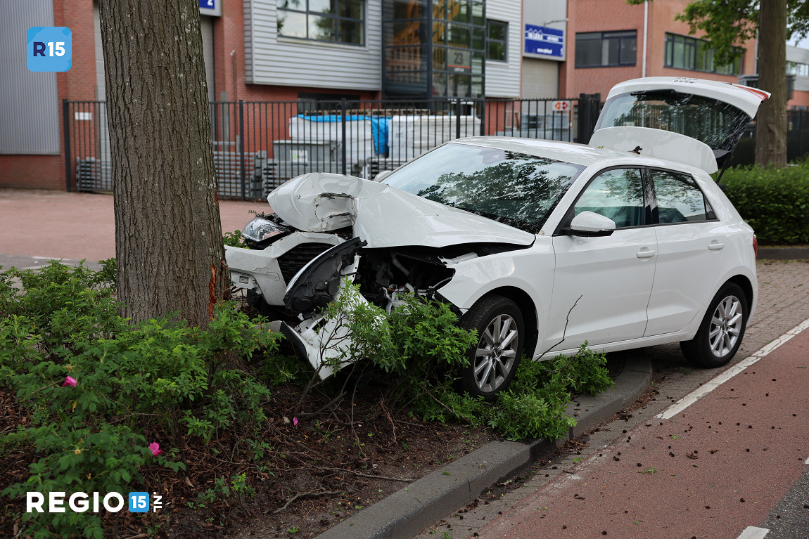 Bestuurster aangehouden na botsing tegen boom