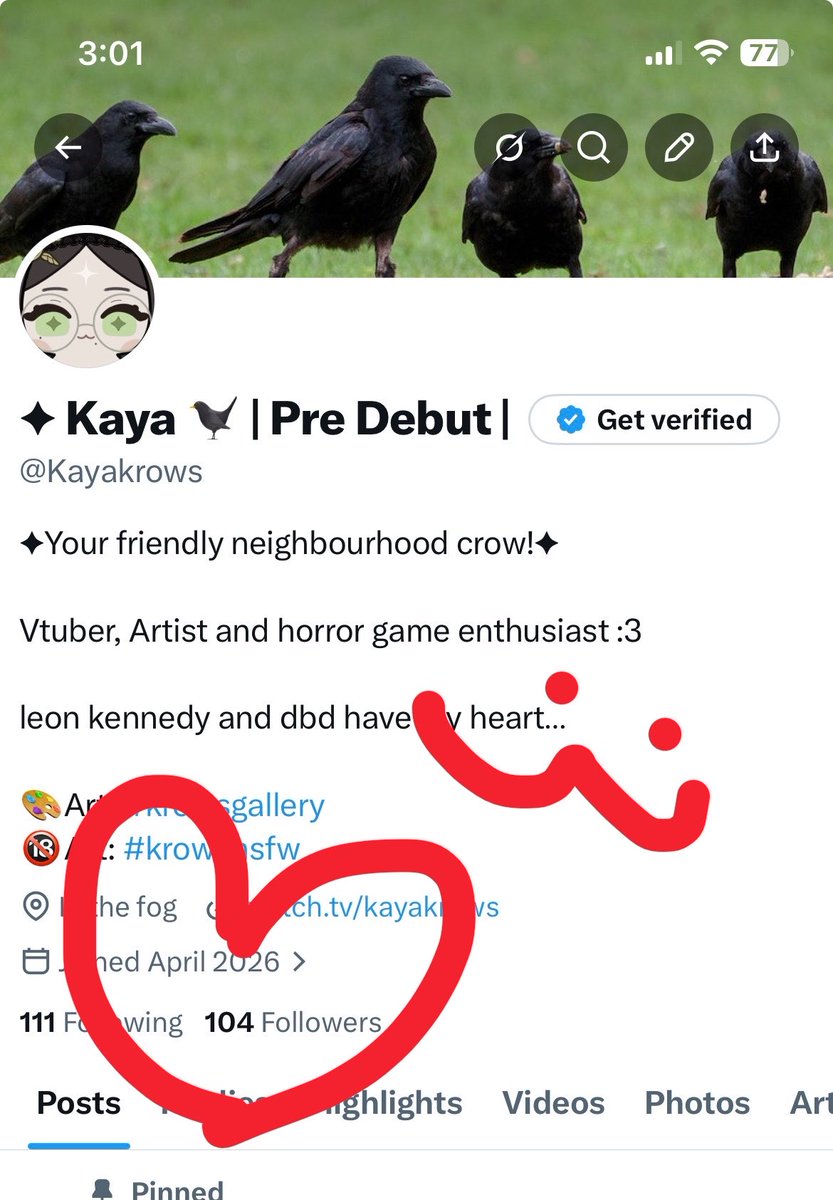 ✦ Kaya 🐦‍⬛ | Pre Debut | tweet media