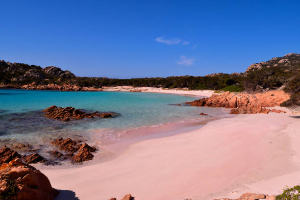 Tiny coral fragments create the rare color 😳
Would you visit it?
#Italy #Travel #Nature