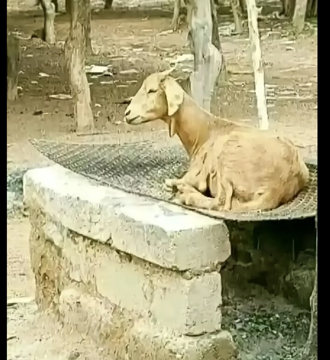 Pls someone's help us drop better caption.
