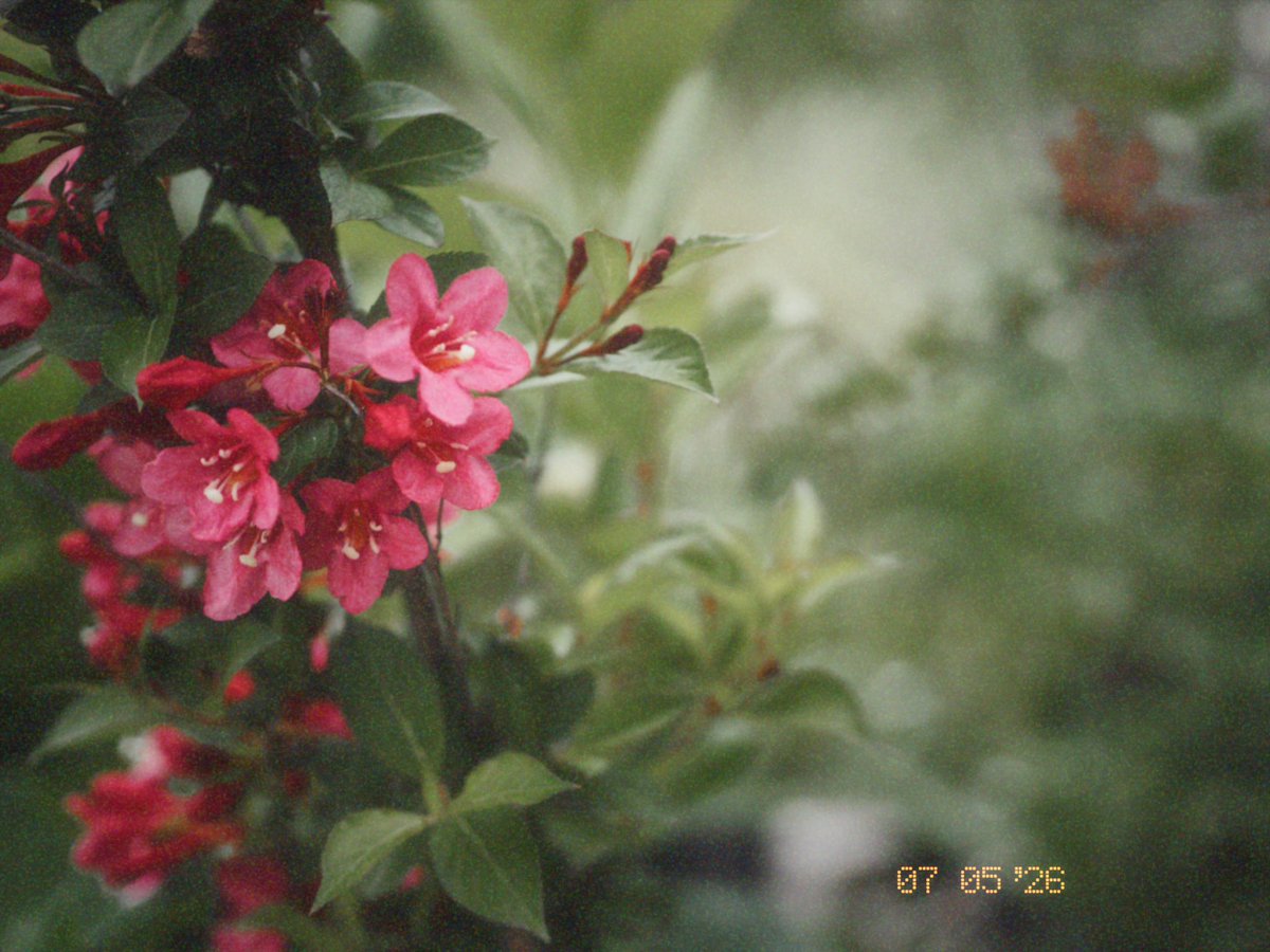 さな (@meimimi1515) on Twitter photo 