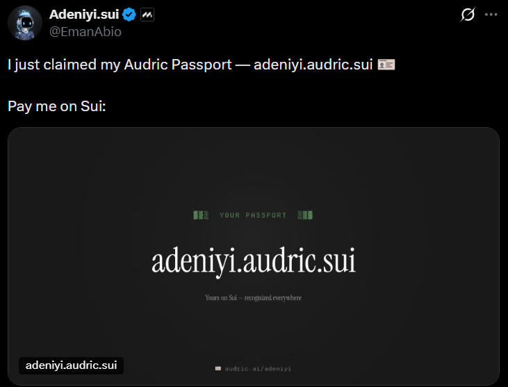 Fosky68's tweet photo. 🌊AUDRIC - SUI🌊
Qué leñes es @audricai y por qué muchos usuarios está reclamando su “Passport” en #SUI?

🌀Antes que nada, #Audric es un agente financiero con IA nativo de Sui: le hablas por chat (como si fuera tu asistente personal) y él hace TODO:  

   👉 Deposita $USDC y genera yield
   👉 Envía pagos instantáneos
   👉 Swaps, presta, revisa tu portfolio...

Y está dirigido al retail. Por qué? Simple, no hay ninguna wallet, no tiene seed phrase y no pagas fees.

🌀 CÓMO?
Haces Sign in with Google  (usando la tecnología Enoki + zkLogin) te crea tu Audric Passport (.audric.sui) en 3 segundos.

Es básicamente DeFi sin la parte aburrida y técnica. El futuro que prometían los AI agents… pero ya está aquí y funcionando en beta.

El equipo está muy cerca de Mysten ( Adeniyi ya reclamó el suyo...está en todos los fregaos) y está en early access.

🌀 zkLogin y Enoki
Los que estáis dentro de @SuiNetwork sabréis estos dos conceptos, pero si no estás te lo explico de forma sencilla:

zkLogin: es la tecnología que intenta conectar con el retail, ya que usa el zero-knowledge proofs, seguro y no custodial. Dicho de otro modo, es cuando creas una wallet a través de un correo electrónico.

Enoki: se podría decir que es el "Stripe de SUI" que lo hace todo fácil. Es la plataforma SaaS (Software as a Service) de #MystenLabs. Y lo que hacen es simplificar al máximo la ingración de blockchain en cualquier aplicación

🌀 Si eres de los que tiene la cabeza perdida y quieres probar con una "cartera" de esta manera, conecta tu cuenta gmail y ya tienes tu passport.