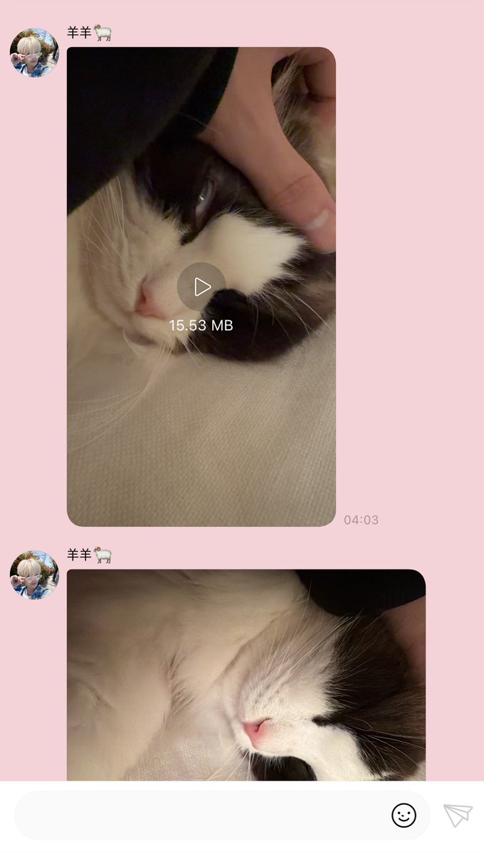 왜 안자!!!!!!!! 하고 들어갔는데 이 폭력적인 썸네일 뭐야