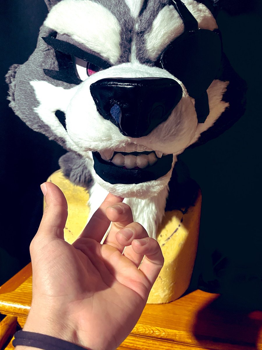 𝖂𝖔𝖑𝖋𝕭𝖔𝖓𝖊 🐺 🏰 🗡 tweet media