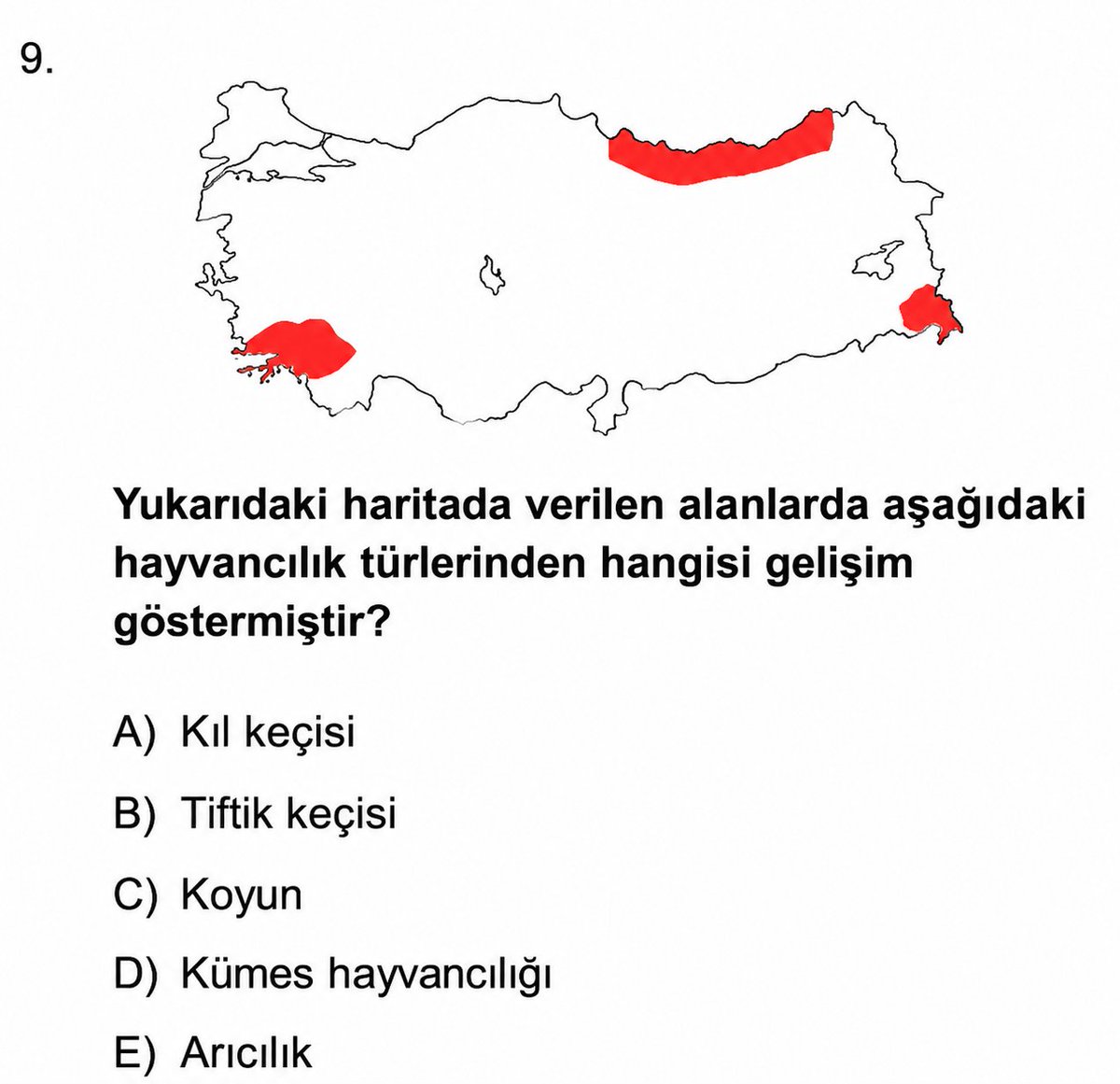 Tarih & Coğrafya tweet media