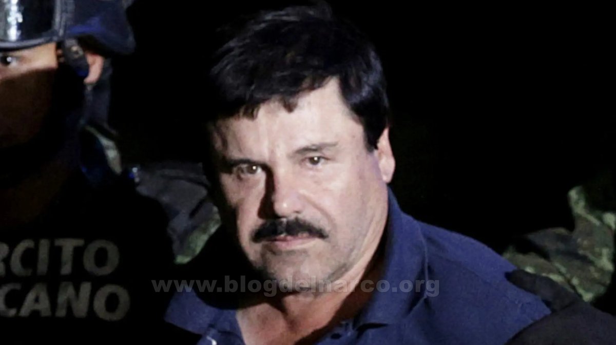 Blog del Narco México tweet media