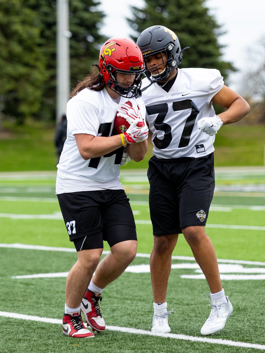 UCalgary Dinos Football 🏈 tweet media