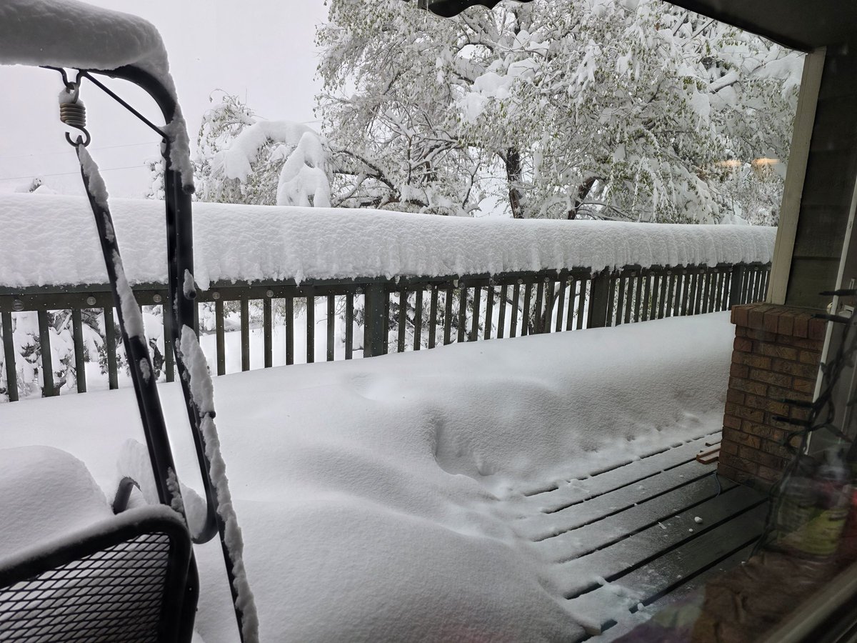 HandsOnAutoTech's tweet photo. Snow finally! I was waiting for a snow fall good enough to build a snow fort! Thank God for the much needed moisture. https://t.co/iL0GtAxdcs