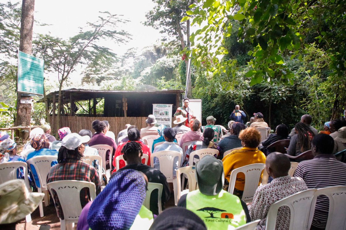 Kenya Forest Service tweet media