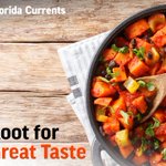 Photo by Florida Currents (@FloridaCurrents)