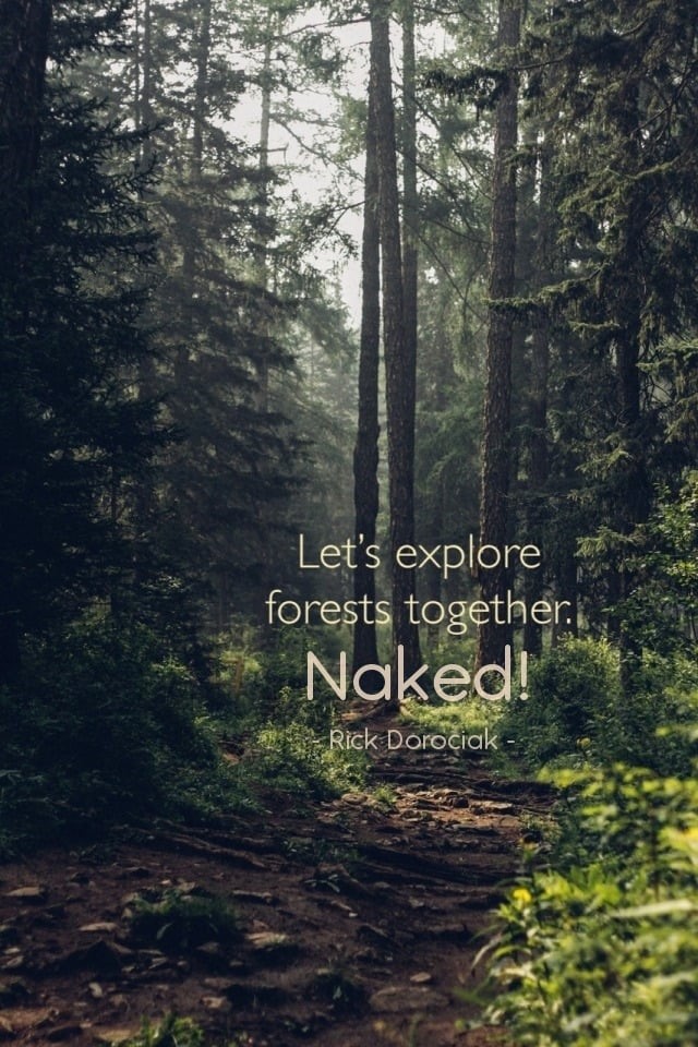 Kick Ass Nudists tweet media