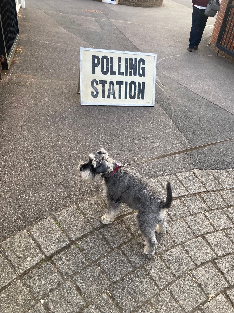 archivesgb's tweet photo. #dogsatpollingstations https://t.co/eImYjsbG5i