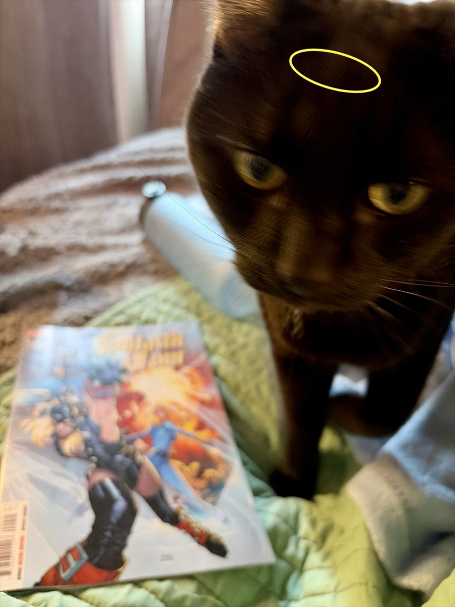 Fatal Cutie 🐈‍⬛ tweet media