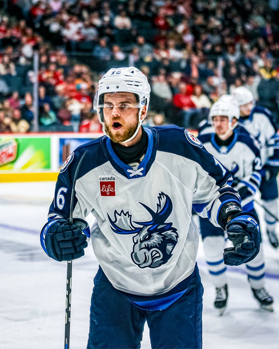 Manitoba Moose tweet media