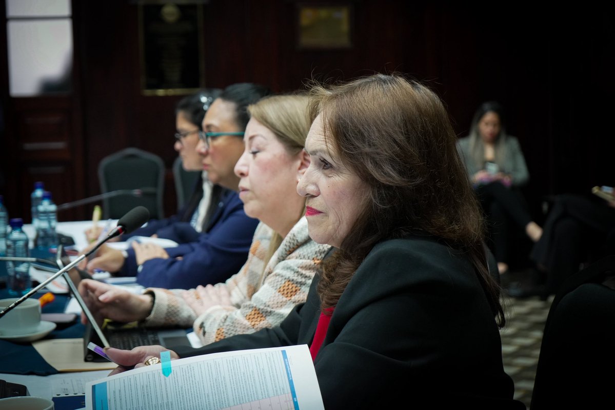 Sesión extraordinaria de la Comisión de Relaciones Exteriores en el Salón del Pueblo. Tema principal: Código de Identificación Consular con la presencia de la Embajadora María Luisa Ramírez Coronado y la Embajadora Reagan Vega Santizo.
#Congreso #Guatemala #RelacionesExteriores