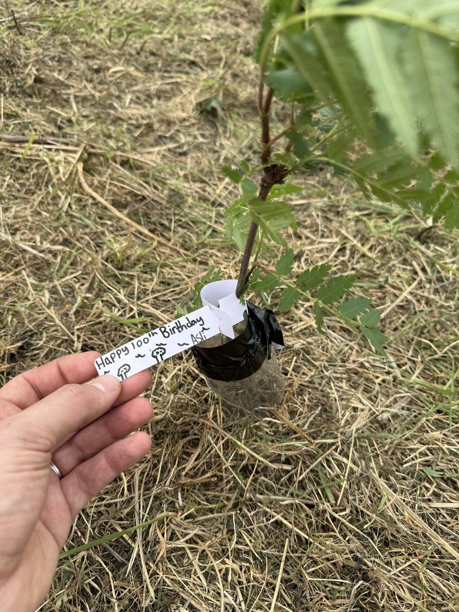 GreenerWHS's tweet photo. What a morning!!! 
Today we planted 300 saplings (with 100 more to go in tomorrow) in celebration of the 100th Birthday of Sir David Attenborough.
The ‘Future Wales Woodland’ will leave a lasting legacy for the students involved today and for years to come. 
Happy Birthday David! https://t.co/wxUMAdKaez