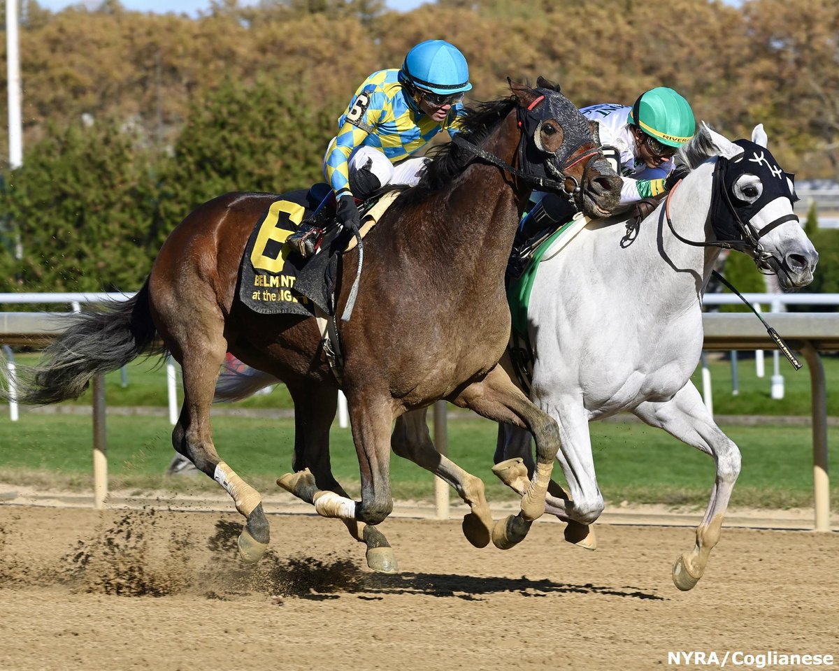 HoganEquine's tweet photo. Cheers 🍻to a most AWESOME horse - this is RUNNINSONOFAGUN - retiring on to @Oldfriendsfarm today after an illustrious 5-yr career of 26 starts, multiple stakes wins, and earnings over $600k. Thanks to the partnership of an incredibly responsible owner and trainer with @NewYorkTHA, he was patiently rehabbed here with us from a career-ending injury and is now sound, happy, and ready to move on to his new life. He will be missed! #respect 🫡