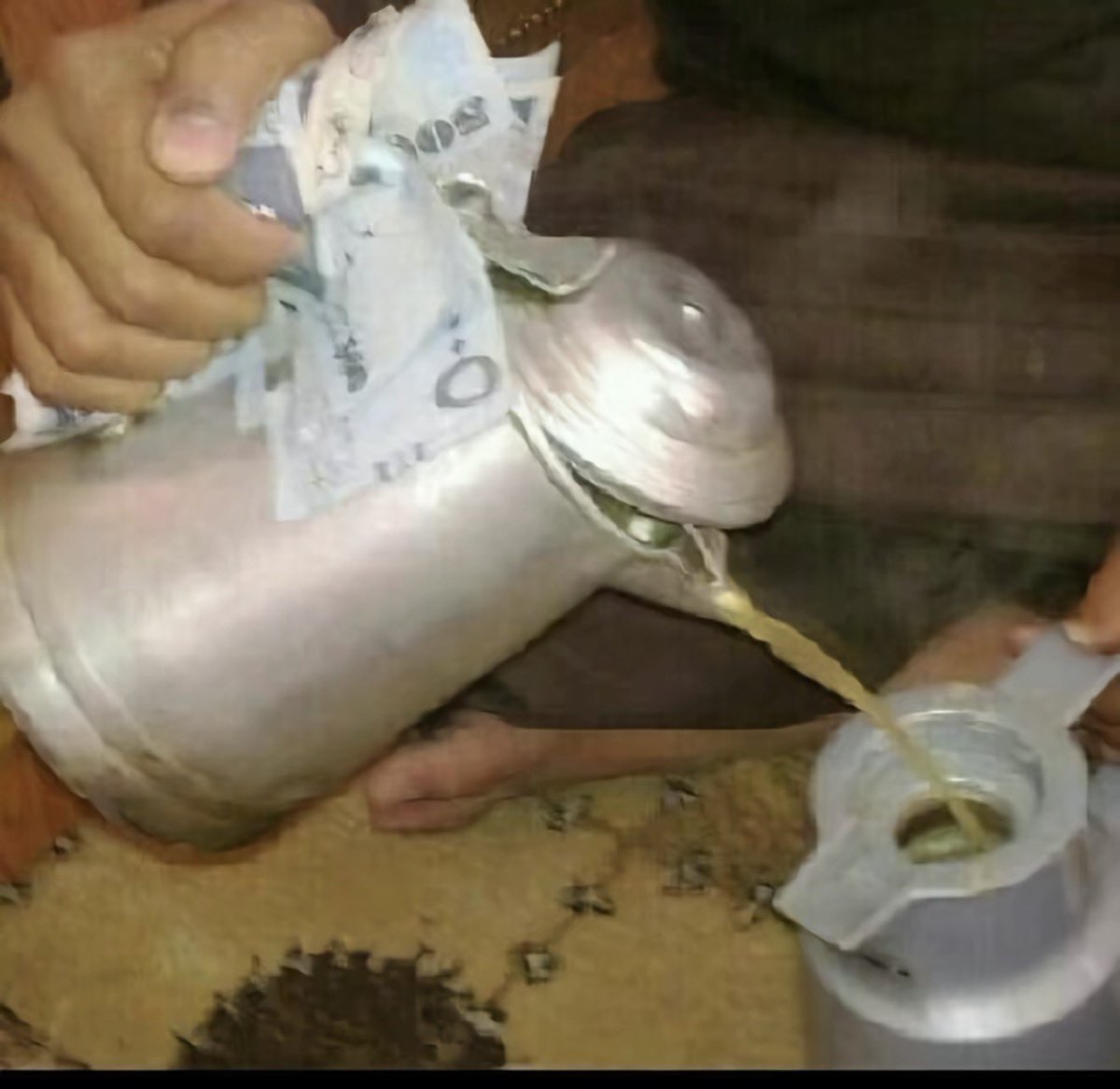بسبوسة tweet media