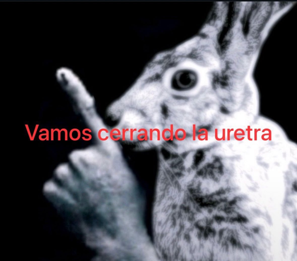 Alejandro V. tweet media