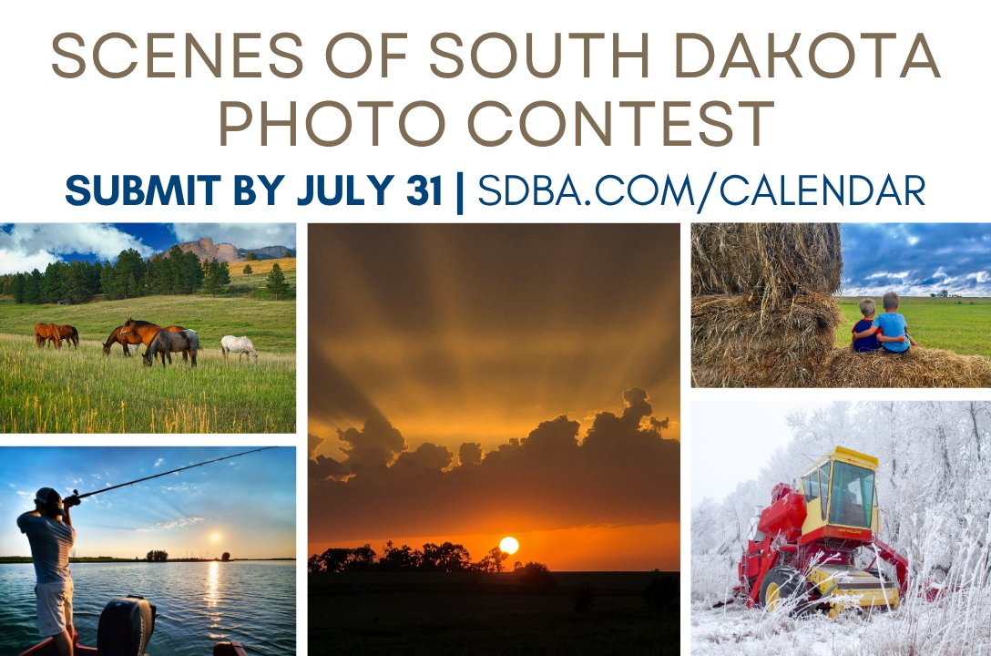 SDBankers's tweet photo. 🎣🌾𝗦𝗻𝗮𝗽 𝗜𝘁. 𝗦𝗵𝗮𝗿𝗲 𝗜𝘁. 𝗪𝗶𝗻 𝗜𝘁! 🌅❄️
We’re inviting amateur photographers from across South Dakota to capture what makes our state special—from wide-open landscapes to everyday moments that reflect our heritage and way of life.

We’d love to see a wide variety of submissions! Think landscapes, farming & ranching, wildlife, plants, architecture, small towns, city scenes, seasonal views (especially winter!), hunting, fishing, camping, and more.

𝗦𝗨𝗕𝗠𝗜𝗧 𝗬𝗢𝗨𝗥 𝗣𝗛𝗢𝗧𝗢𝗦 𝗧𝗢𝗗𝗔𝗬! ➡️ https://t.co/4jhQr01xwc