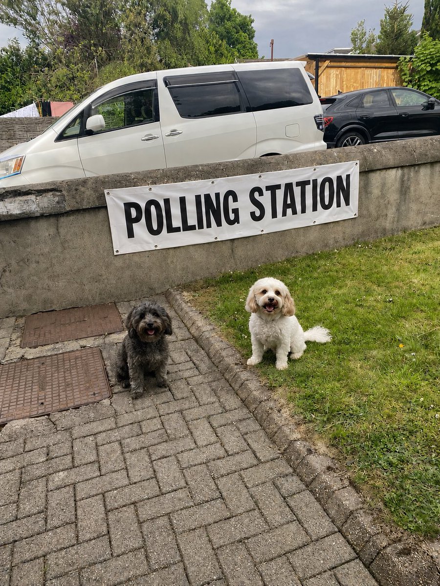 Been to do our bit 🗳️#pollingstationdogs #vote #seneddelection #election2026 #wales <a href="/ChrisCowley78/">Chris_Cowley</a>