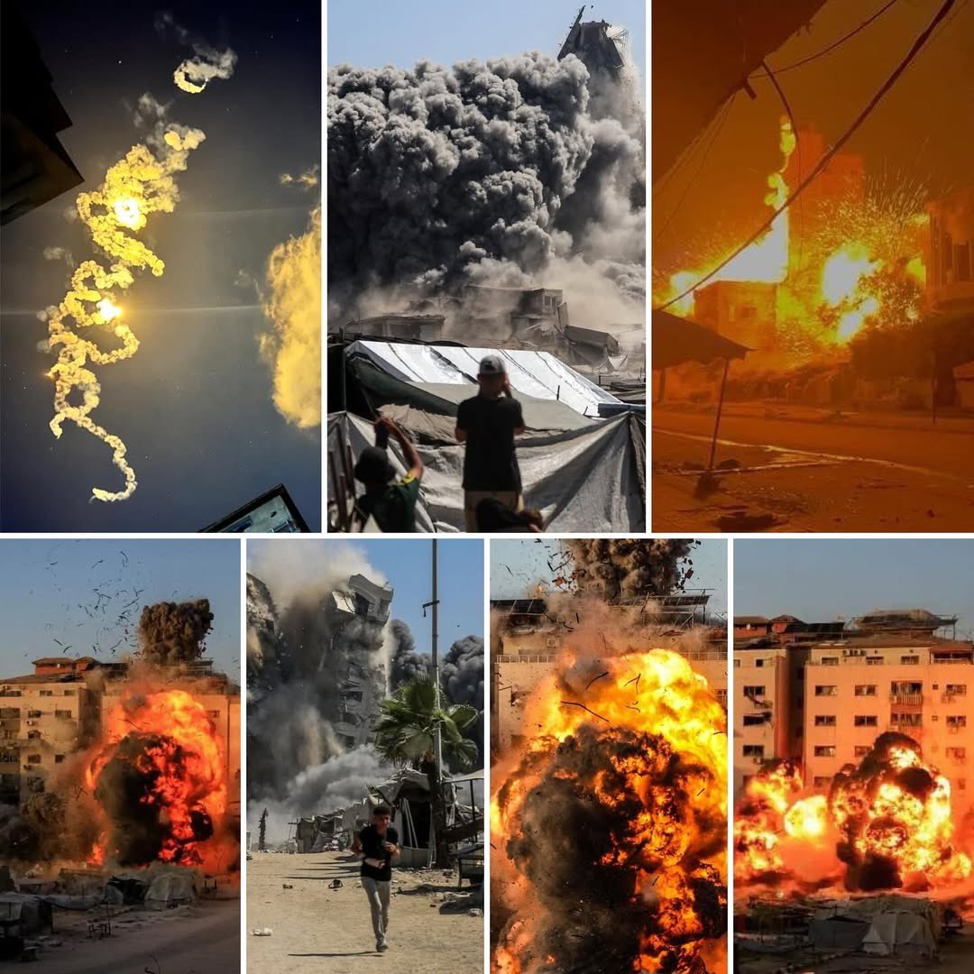 الحـكـيم tweet media