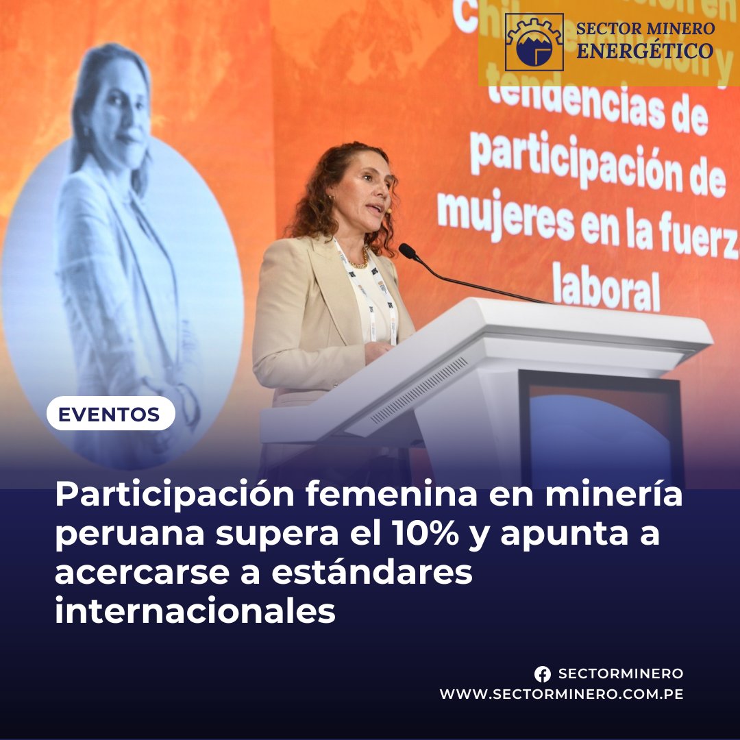 Sector Minero tweet media