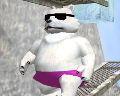 ✨Rocky🐻 tweet media