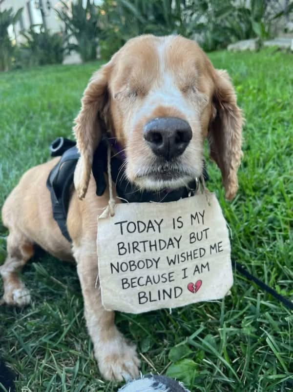 Lilly tweet media