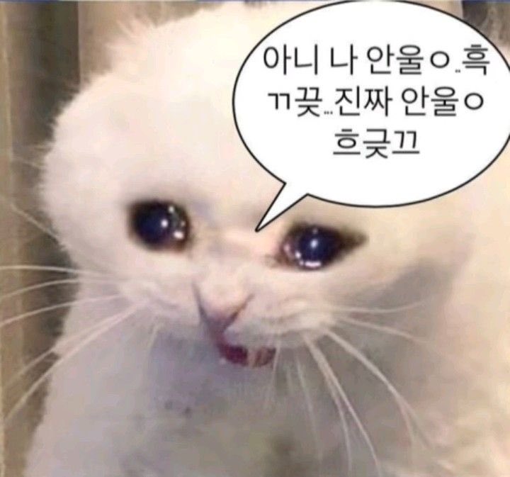 여우라 사랑맨 tweet media