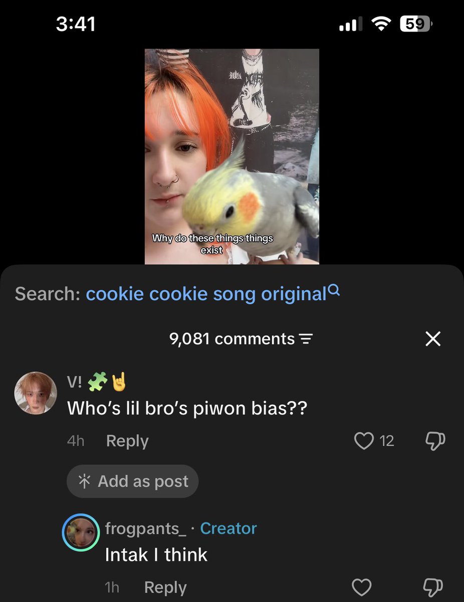choqxit's tweet photo. #vastcommunity the parrots bias is intakie for those wondering 😇 https://t.co/ylSi0qzxLY