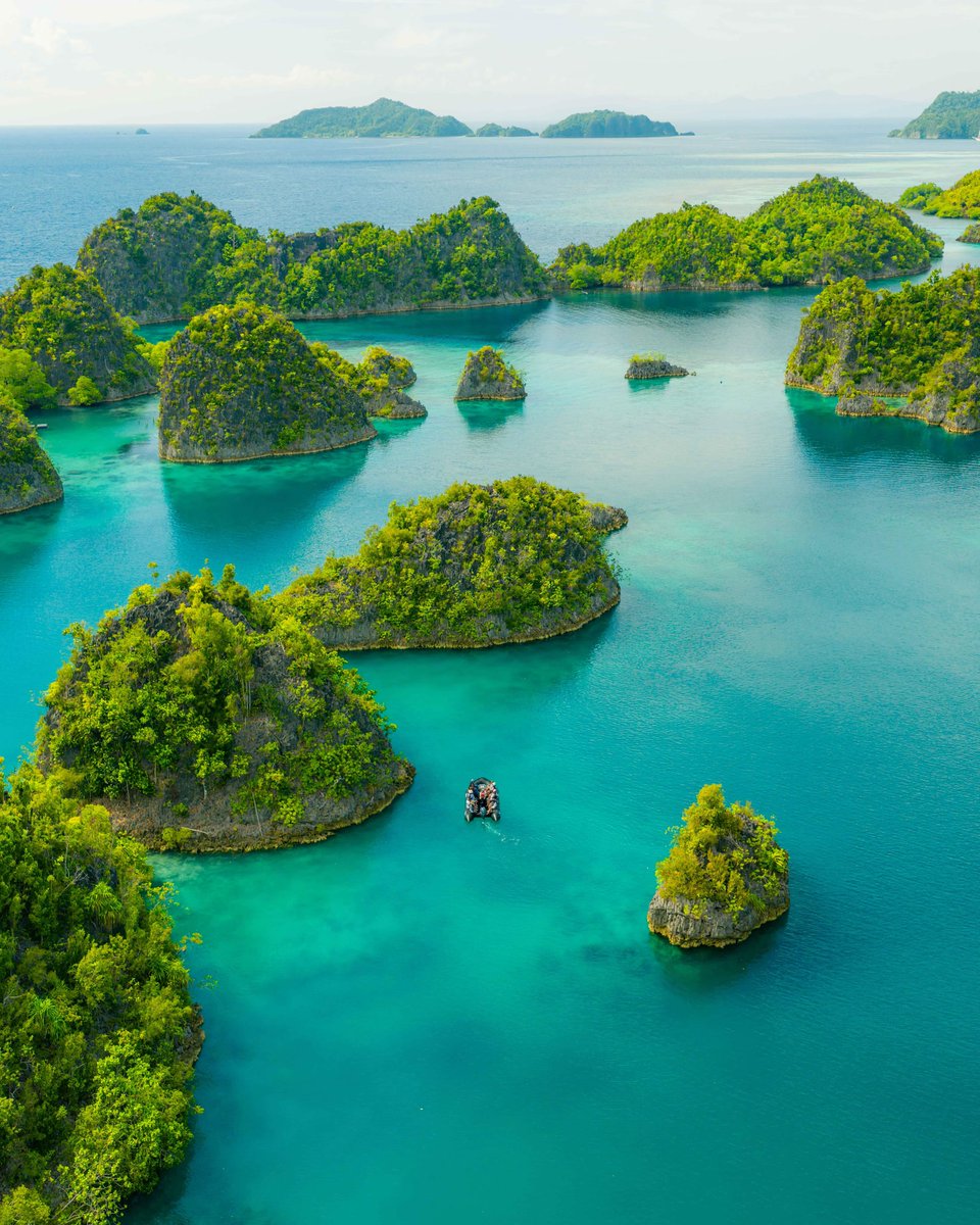 swanhellenic's tweet photo. Raja Ampat was unlike anything we've ever experienced, and now we understand why it leaves you in awe. The vibrant colors, the captivating vibes, and everything we encountered felt truly unique. https://t.co/qvalGpPBSY