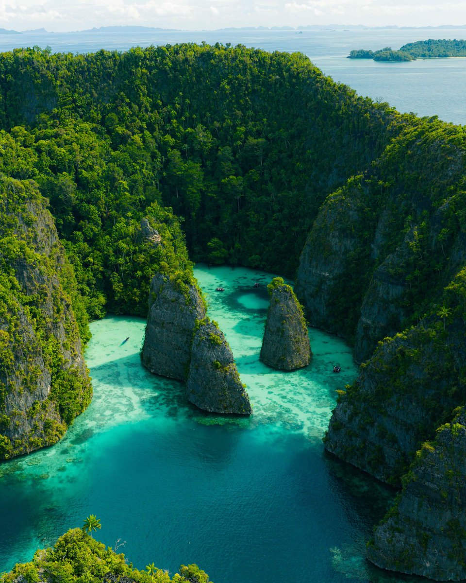 swanhellenic's tweet photo. Raja Ampat was unlike anything we've ever experienced, and now we understand why it leaves you in awe. The vibrant colors, the captivating vibes, and everything we encountered felt truly unique. https://t.co/qvalGpPBSY