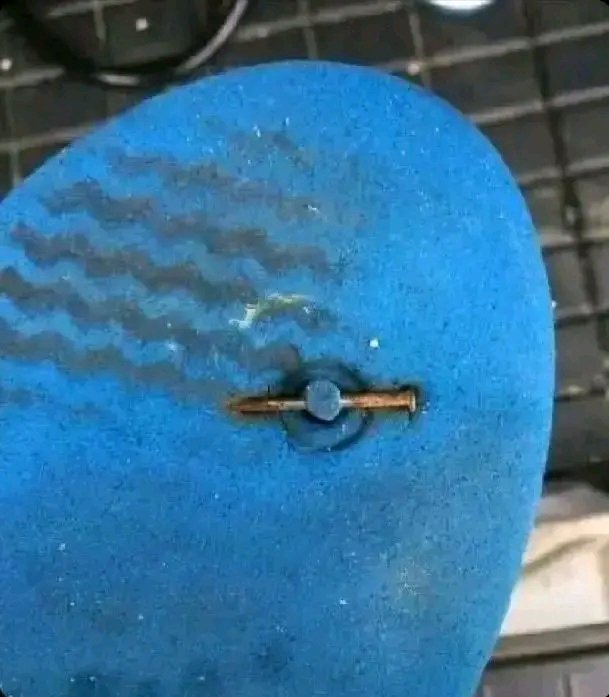 NOTICE ME tweet media