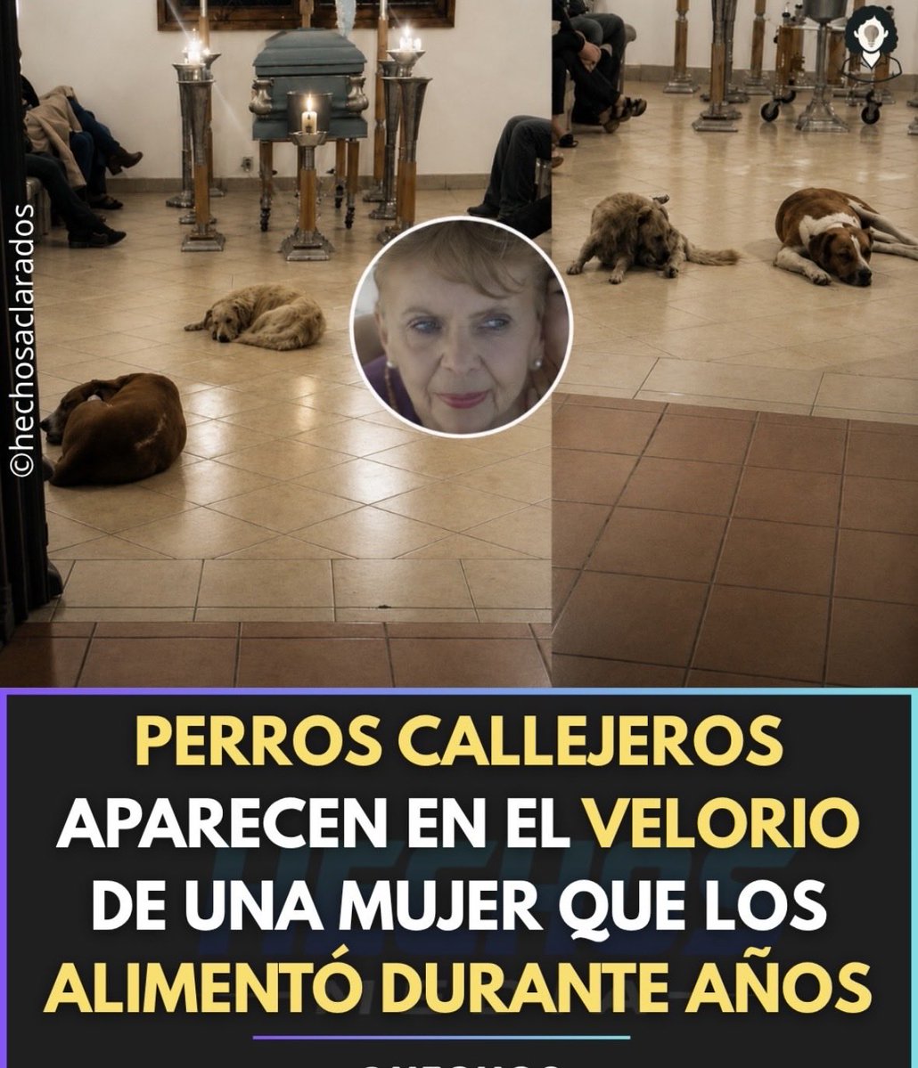 ¡¡SIEMPRE FIELES Y AGRADECIDOS 😢❤️❤️❤️❤️❤️❤️❤️