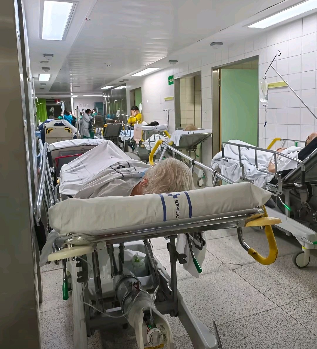 La nefasta gestión sanitaria del PSOE, Coalición Canaria y el Partido popular en Canarias, no tiene nombre.

Los tres a favor de la llegada masiva de inmigrantes y de costearles la sanidad con nuestros impuestos.

📷 Mientras, nuestra gente como ratas en los hospitales.