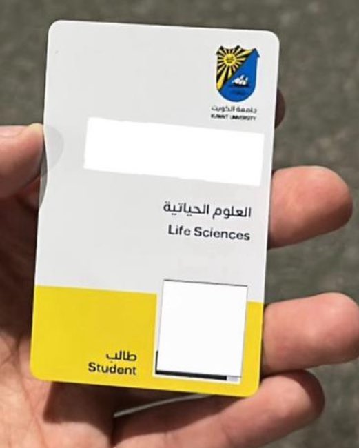 أسد الشدادية . tweet media