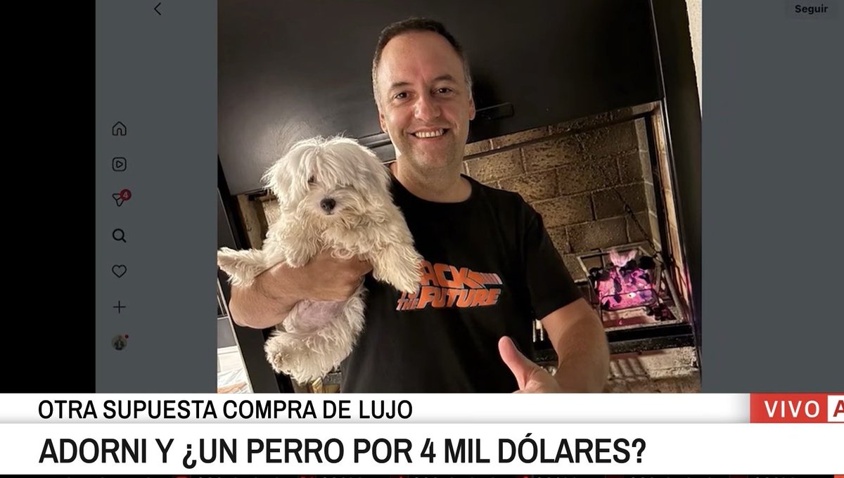 La información exclusiva: Adorni tiene un caniche.