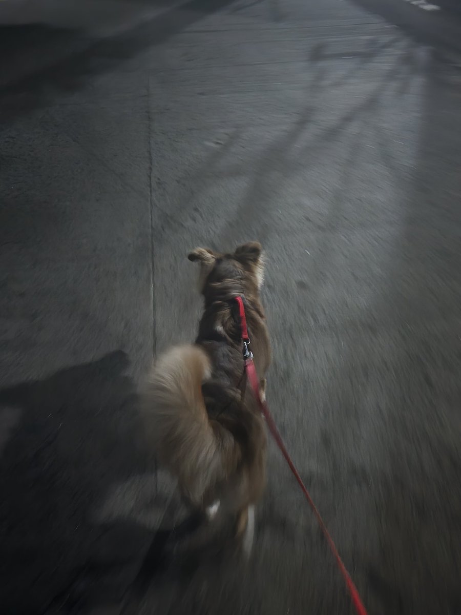 zedqp's tweet photo. yew foken woke me up 3:40 in the morning not to take a shit but to pick up rocks and munch on em ya wank

ill give u snackies later https://t.co/rVc0UUnT9Z