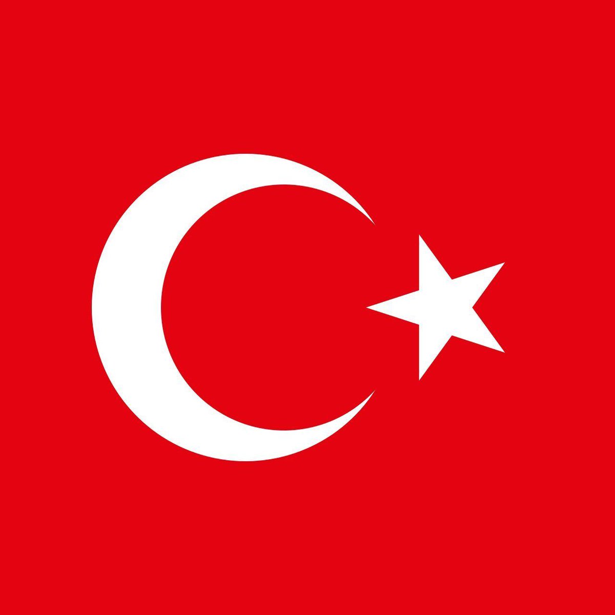 Turk Scout tweet media