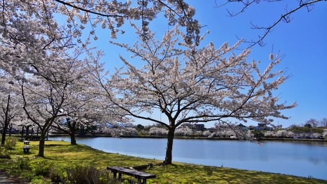 shin1979flower's tweet photo. SNSを見て「あの人はすごい、私なんて」と凹む時。あなたを苦しめているのは相手の成功ではなく、勝手にくっつけた「だから私はダメ」という思い込みです。出来事はただの【事実】として切り離す。そこに自分の価値を測る定規を当てないで。自分のペースで大丈夫。
#TruthAndFact #悩み https://t.co/aIpdVTE4CV