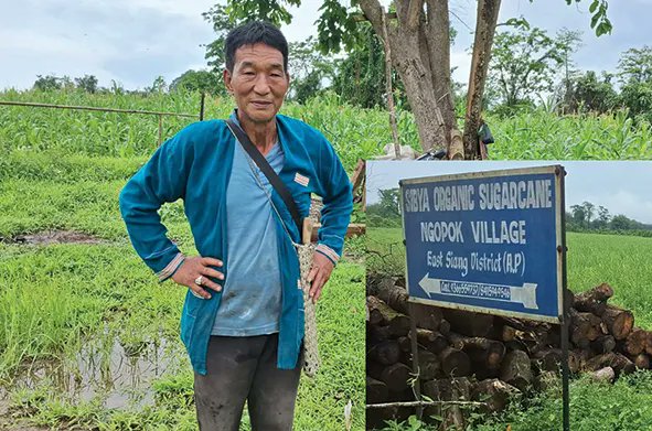 arunachaltimes_'s tweet photo. (Mebo farmer shows path of self-reliance)
#Mebofarmer #EastSiang #Mebo #selfreliance
The Arunachal Times - https://t.co/yyp3BQWkTq https://t.co/W83KpI7byI