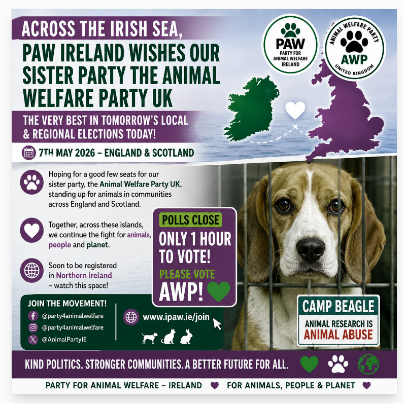 PartyForAnimalWelfare tweet media