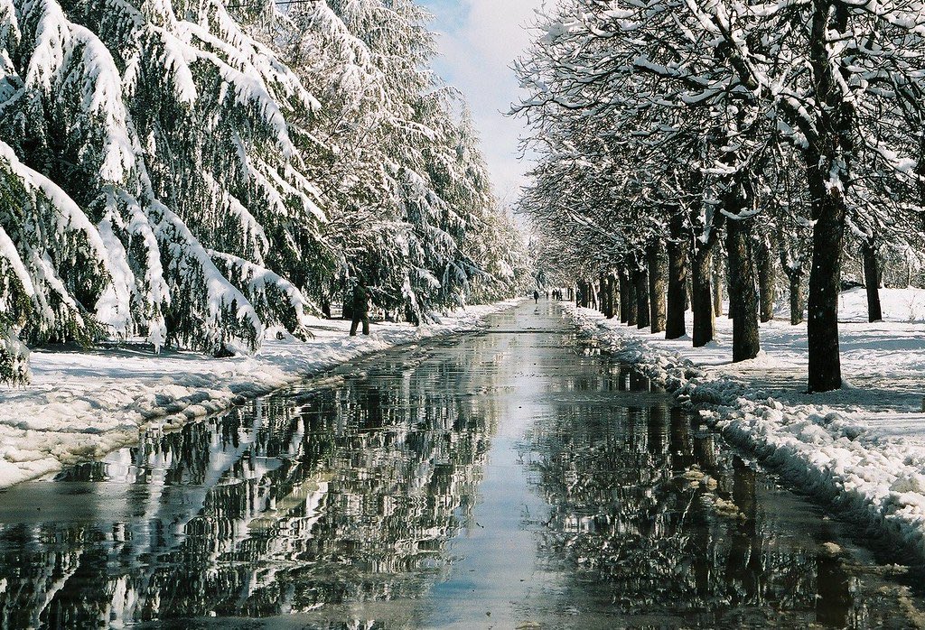 MoroccanResp's tweet photo. @AfricaFactsZone Let's not forget that the most beautiful city in Africa during winter, famous for its snow is Ifrane in Morocco ❄️ 🇲🇦 https://t.co/6CpnIHqzCv