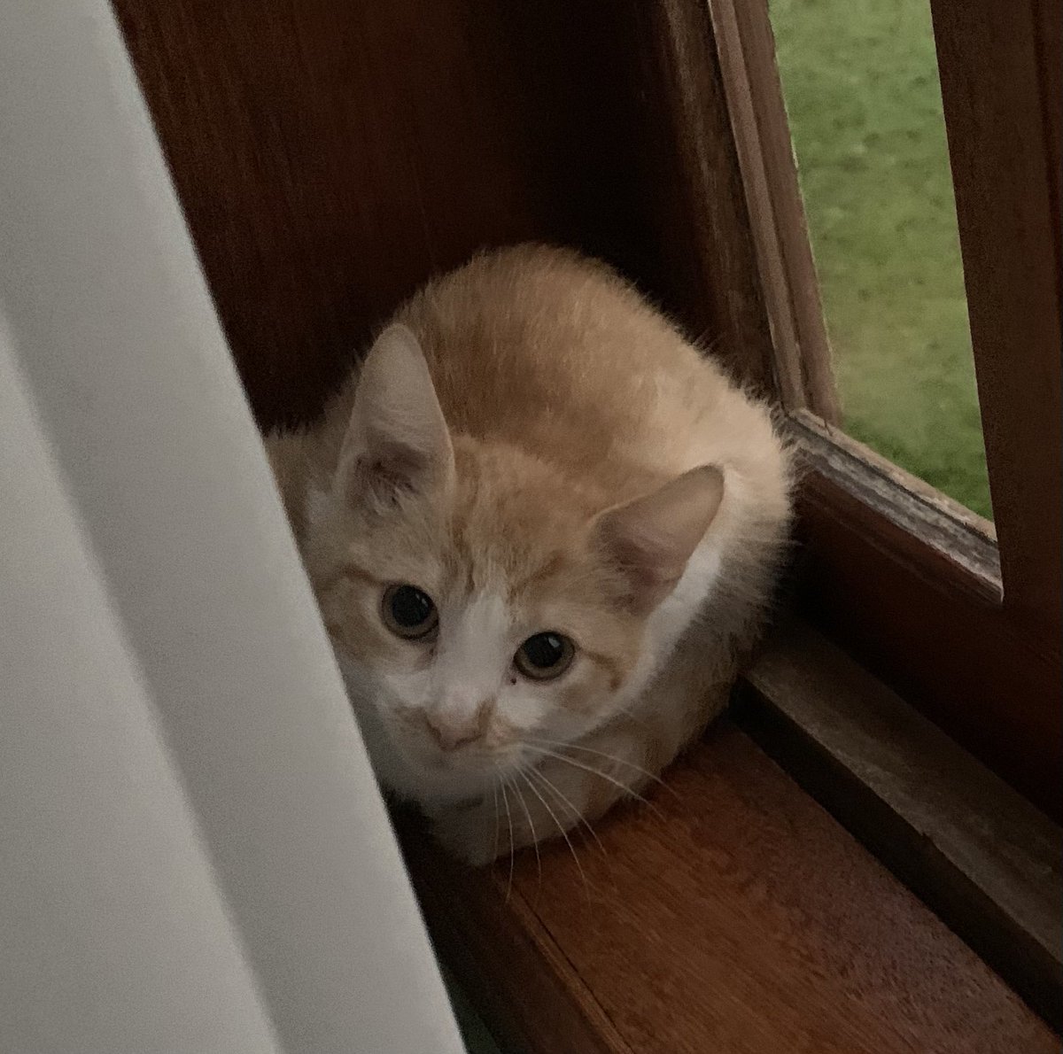 kasperspacez's tweet photo. ur notgonna believe this https://t.co/FjRgt8b3ci