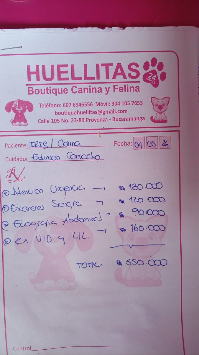 wendinosaurio's tweet photo. Holi, vengo en nombre de una amiga de mi hermana, llamada Paola Jaimes. Su perrita se cayó de un tercer piso y afortunadamente solo se fracturó su patita. Ya pagaron una cantidad pero falta el gasto más grande que es la cirugía. Si desean ayudar o preguntar, su nequi es su wapp. https://t.co/RSfMyyLEJT