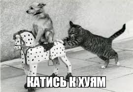 Кабан-гедонист tweet media