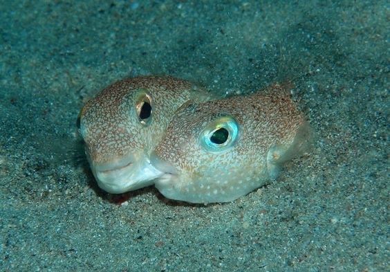 me flirting with my fish wife