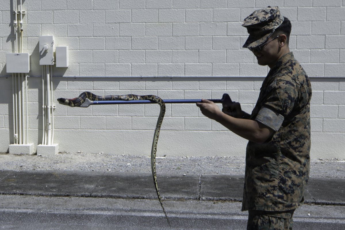 Navy Medicine tweet media