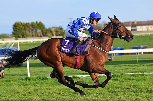 Gordon Elliott tweet media